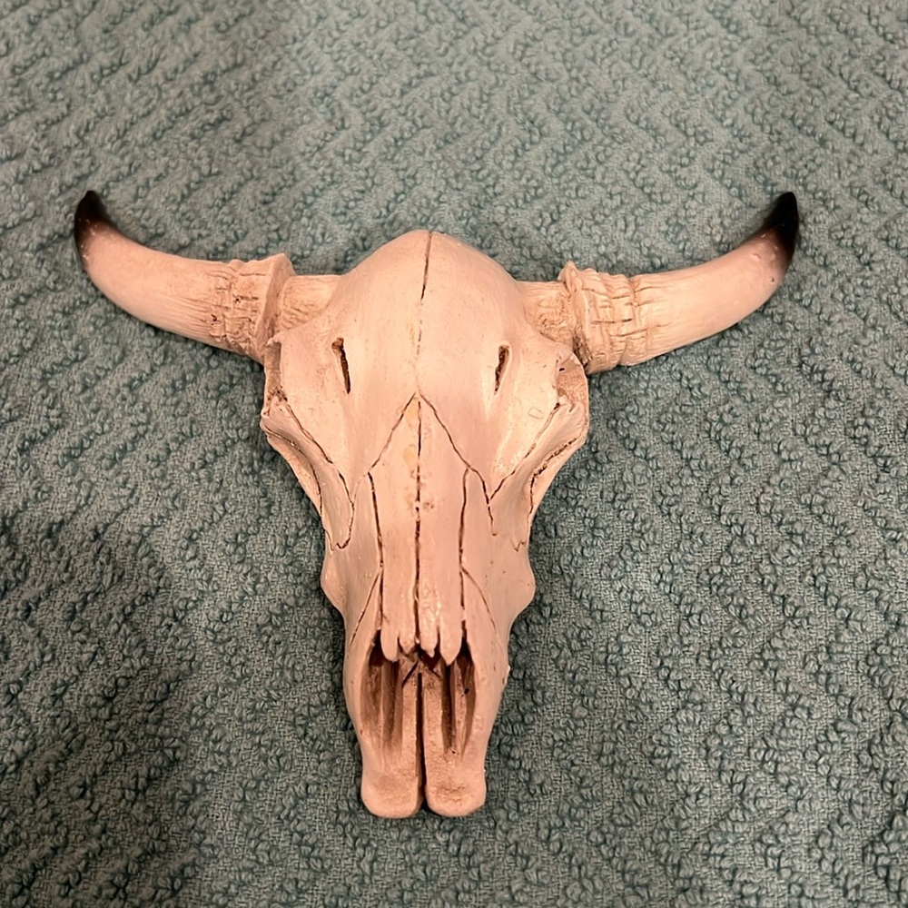 Rustic White Bull Skull Wall Decor